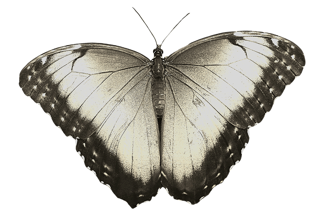 BirraBirro.com, BirraBirro.co